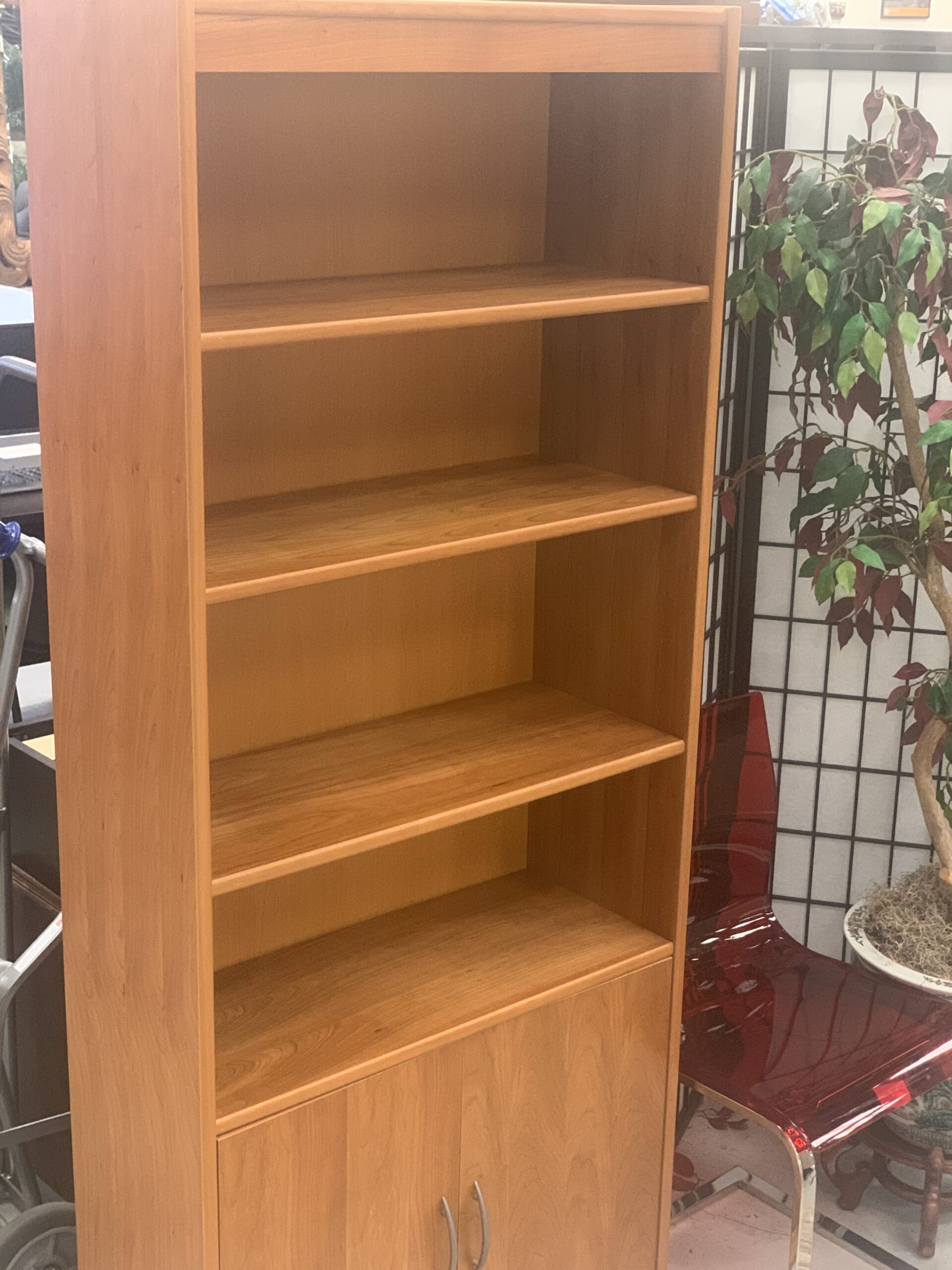 dania bookshelf