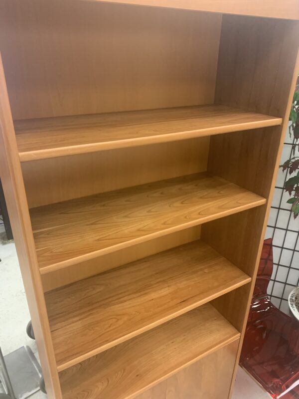 dania bookshelf